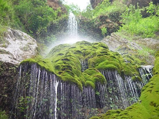 将大通湖区打造成“洞庭虾蟹水草之都”