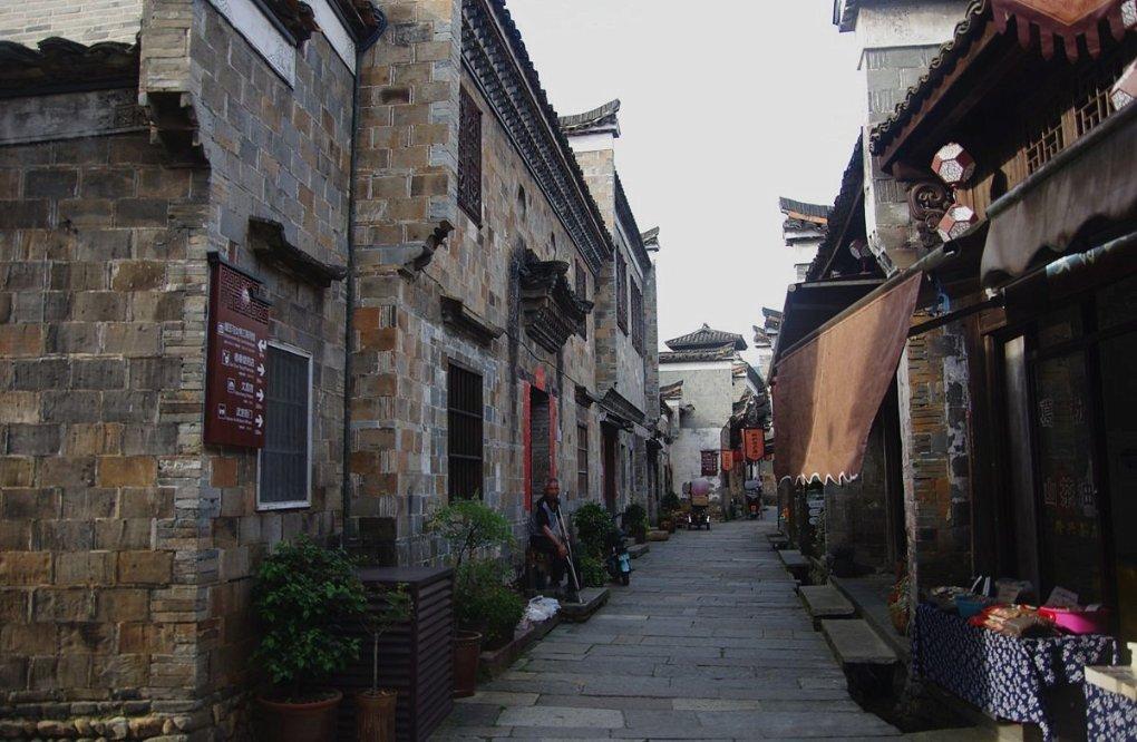 逃出小象森林